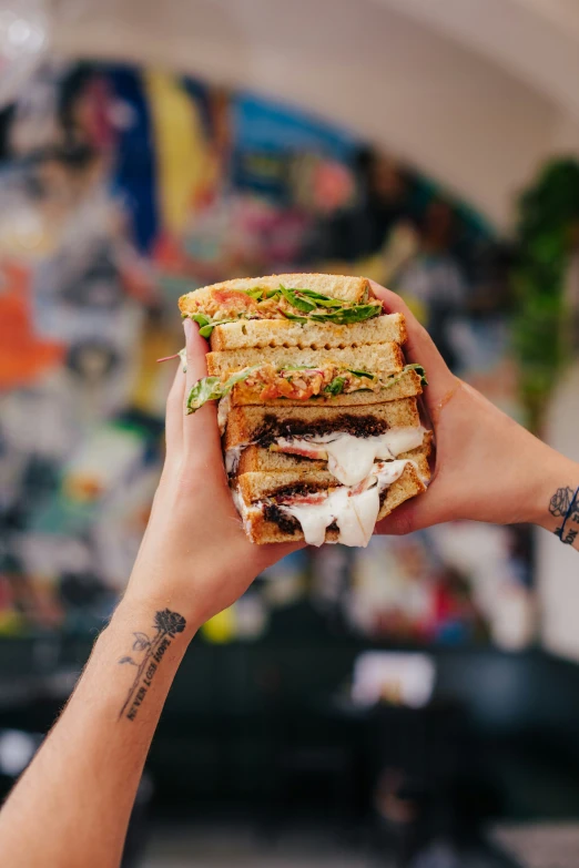 a close up of a person holding a sandwich