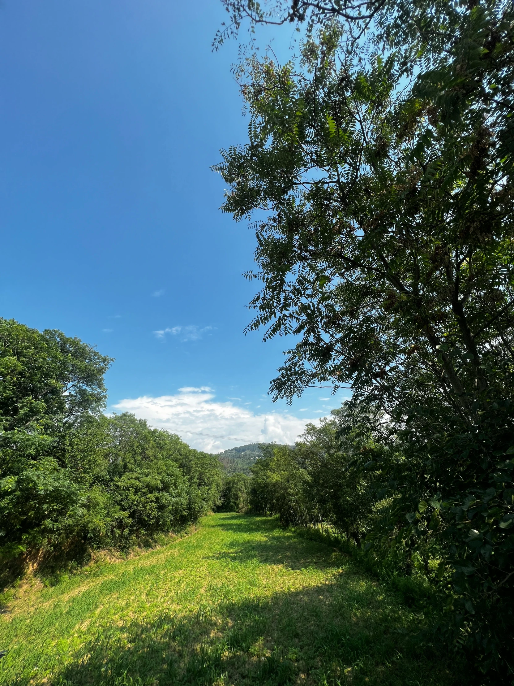 the dirt road is narrow and empty during the day