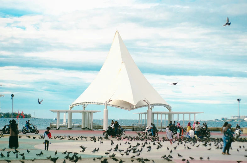 birds walking around near a large white structure