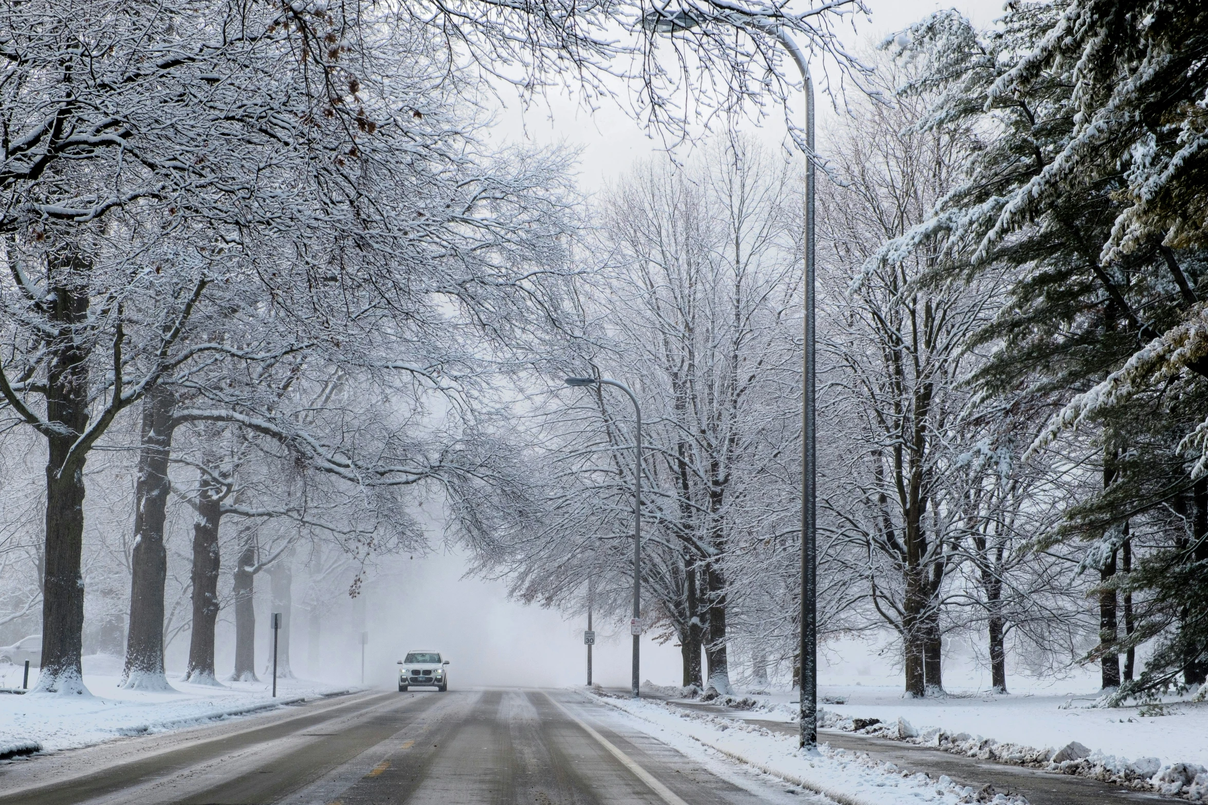 a snowy landscape with a tree lined road in front