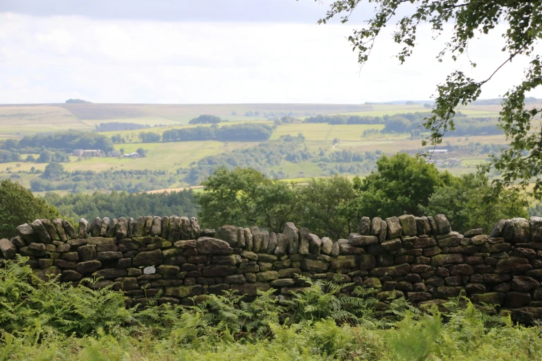 there is a lot of rocks in the field