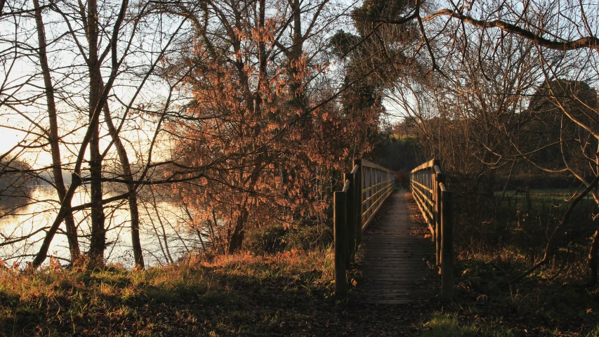 a wooden bridge crosses a small lake by some trees