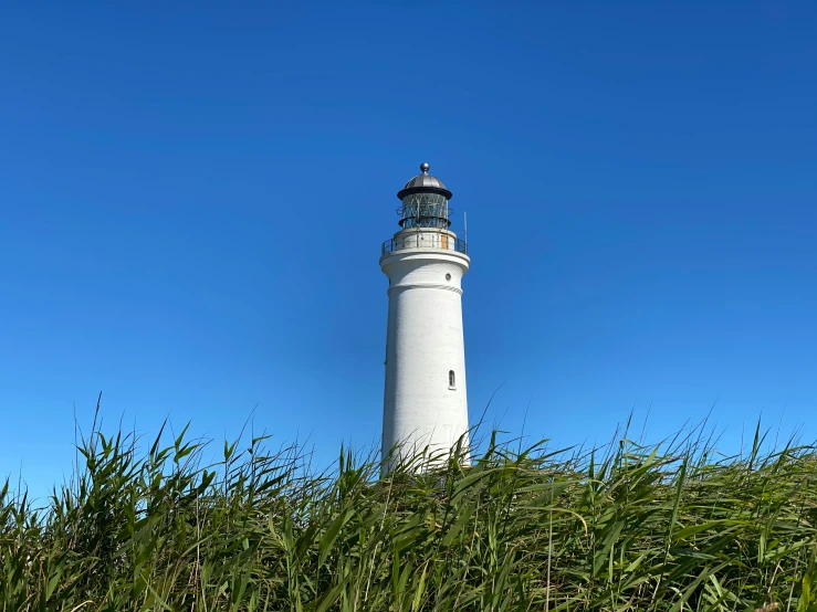 lighthouse sitting high in the sky surrounded by tall grass