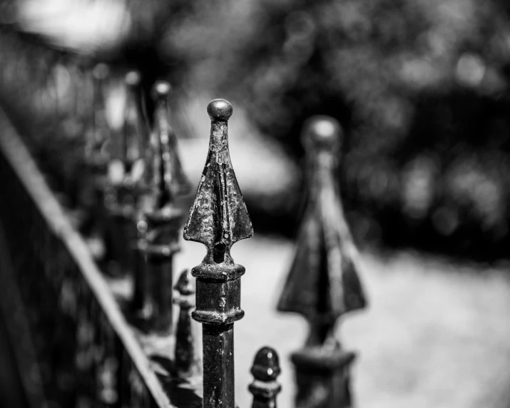 the iron fence is all black and white