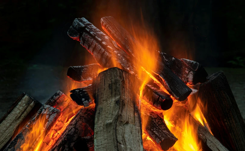 fire showing bright flames in wood logs