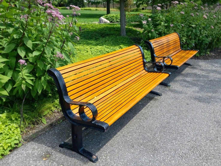 a yellow bench on a sidewalk in a park