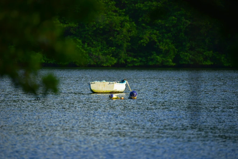 a white boat floating on top of a lake next to forest