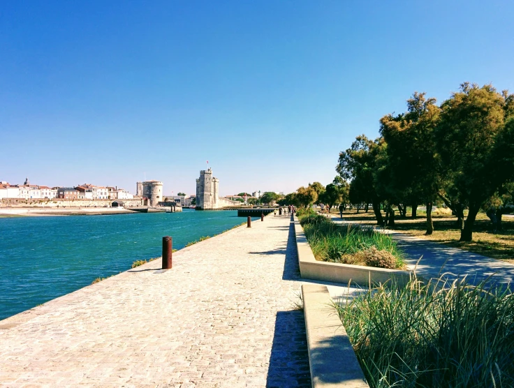 the walkway beside the water has plants and some vegetation