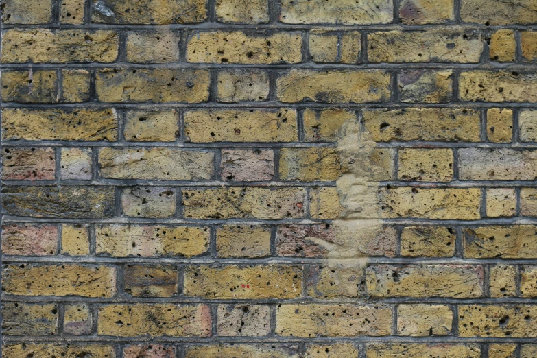 a brick wall is seen with some little brown dots