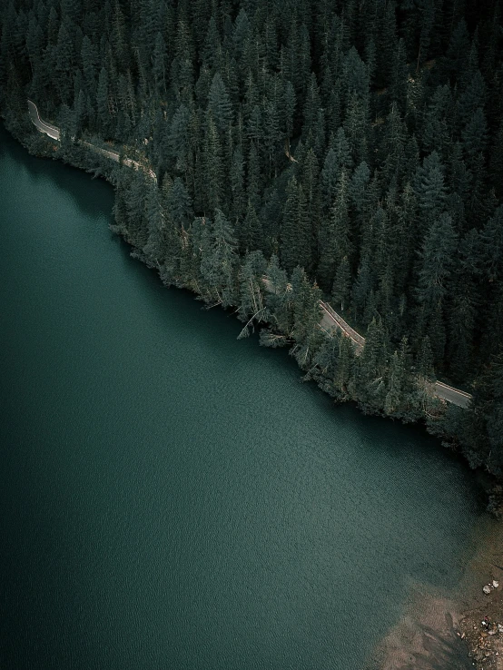 the large river is moving through the woods