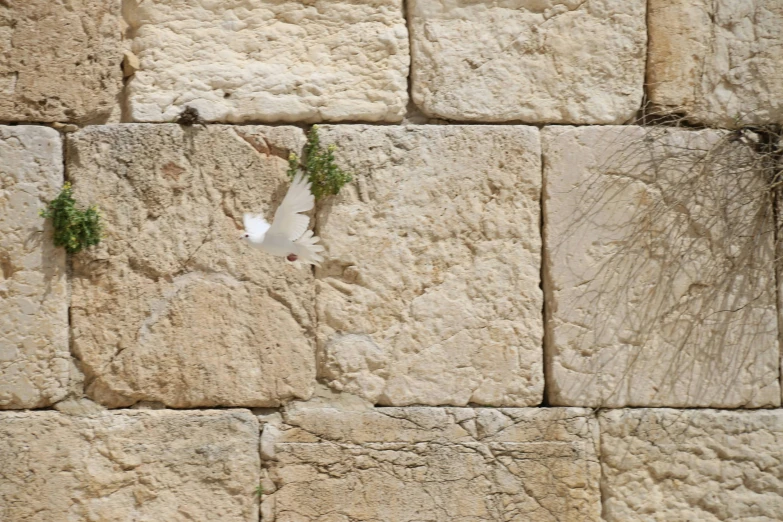 the stone wall is holding an object in it