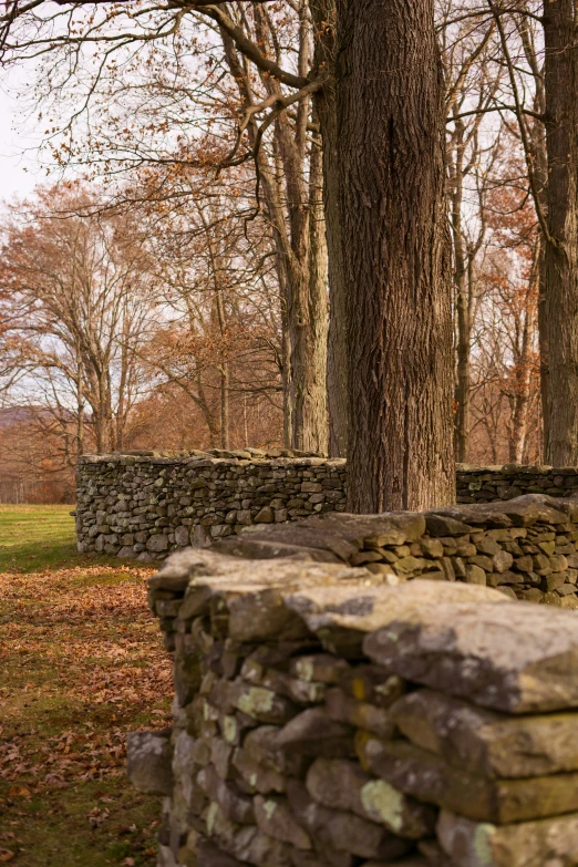 a stone wall is near a tree in the park