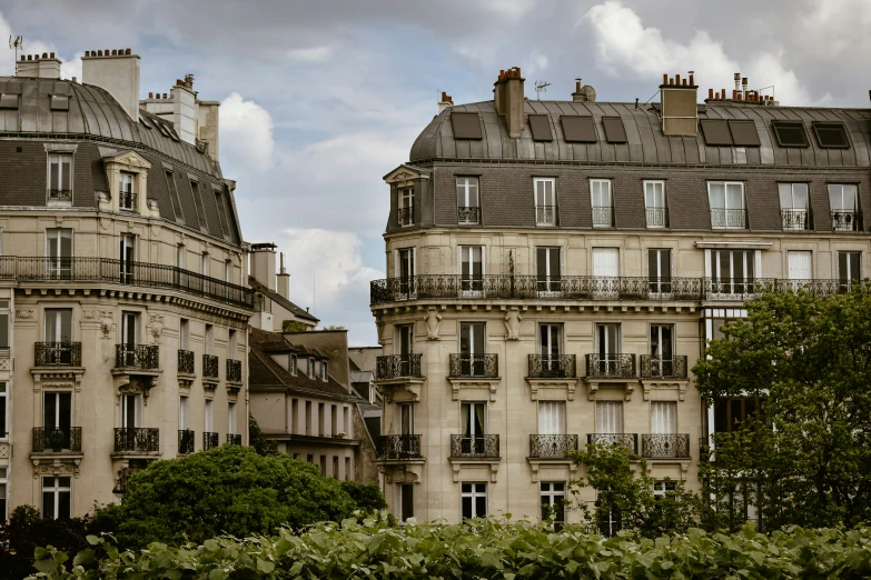 the buildings along with trees and shrubs are visible