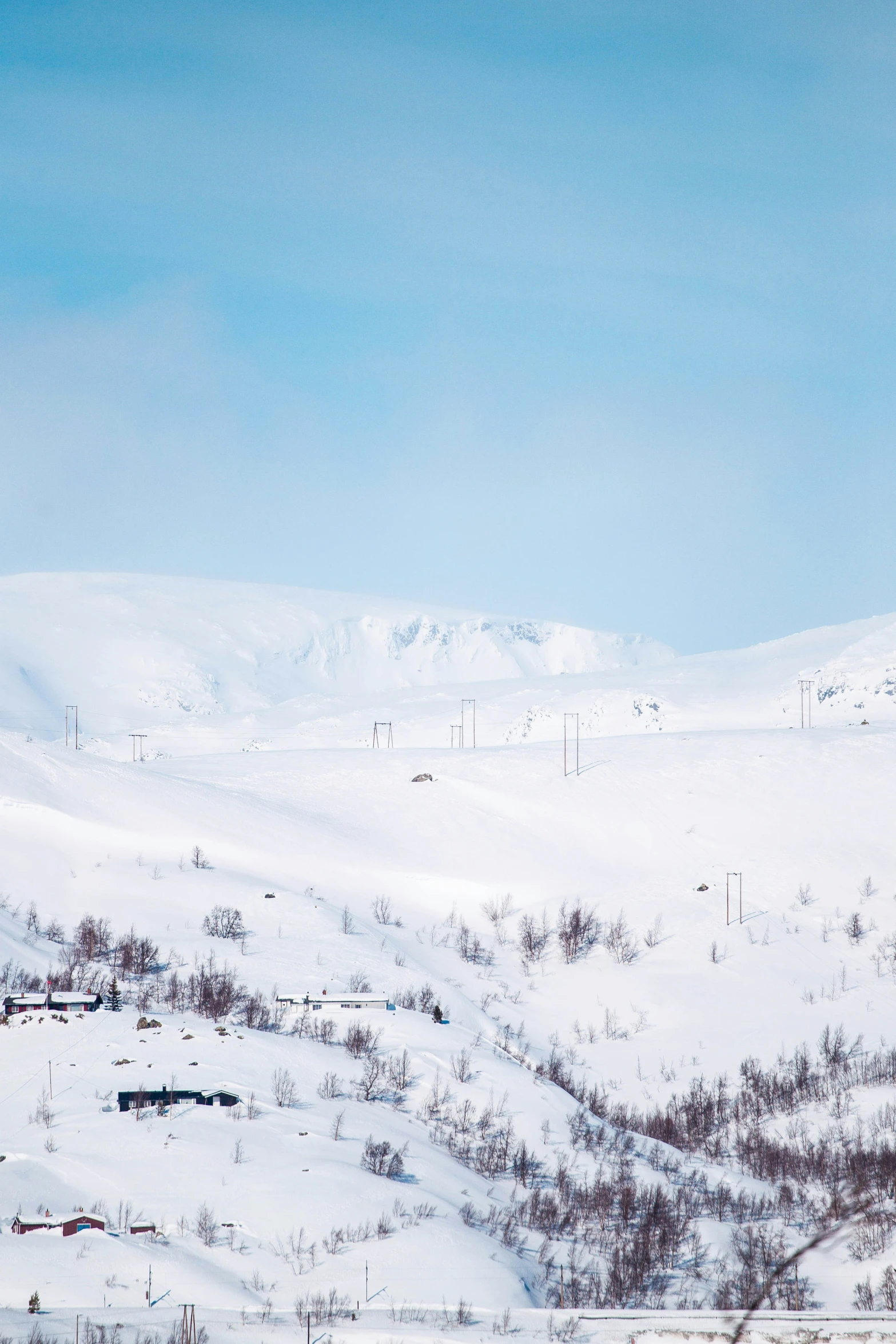 snow covered hillside with a view of a hill and forest