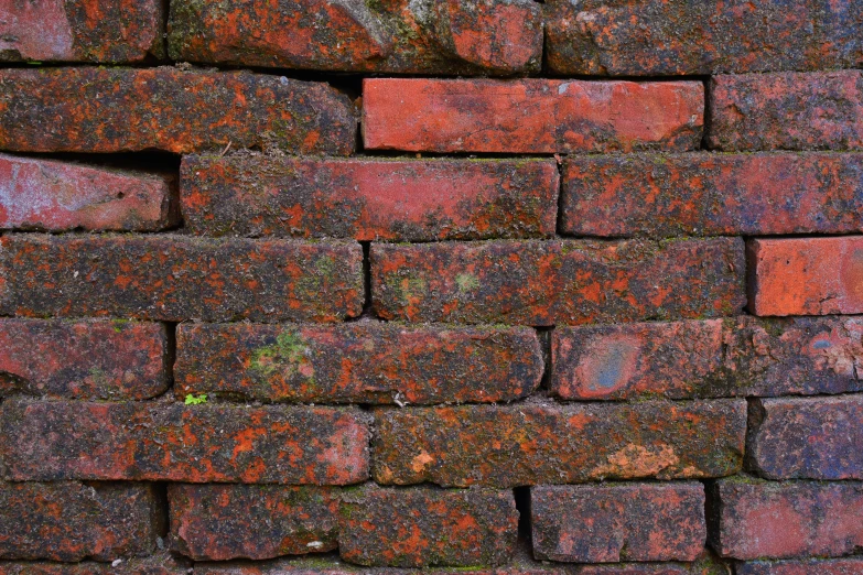 the side of a large brick wall has little grass growing on it