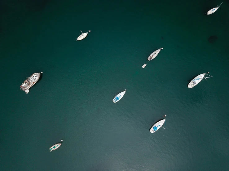 many small boats on the water near each other
