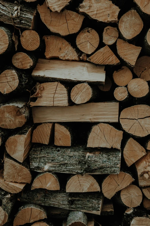 pieces of wood sitting next to each other