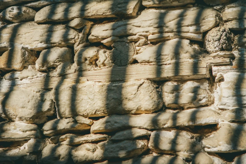 a bird is on the wall of a stone building