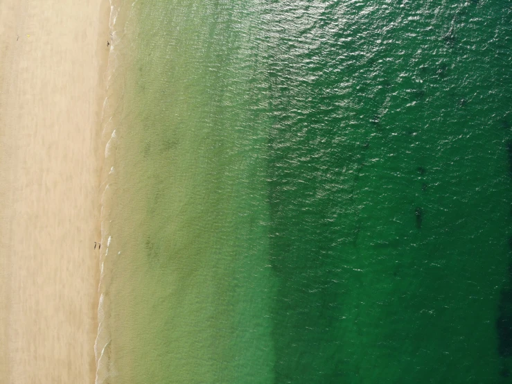 green water and sand seen from an airplane