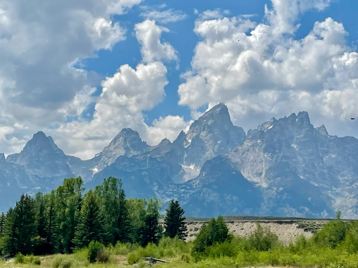 a couple of mountain ranges and a few trees in front of them