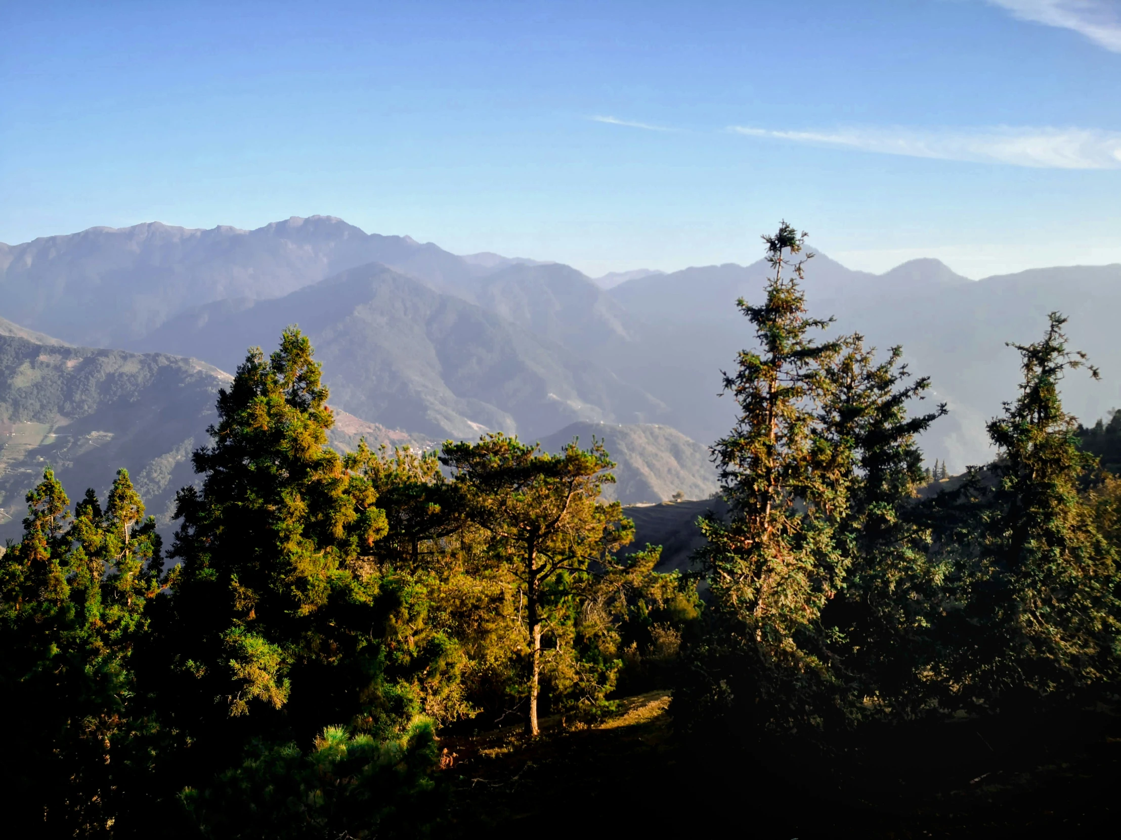 a mountain with trees surrounding it in the sunlight