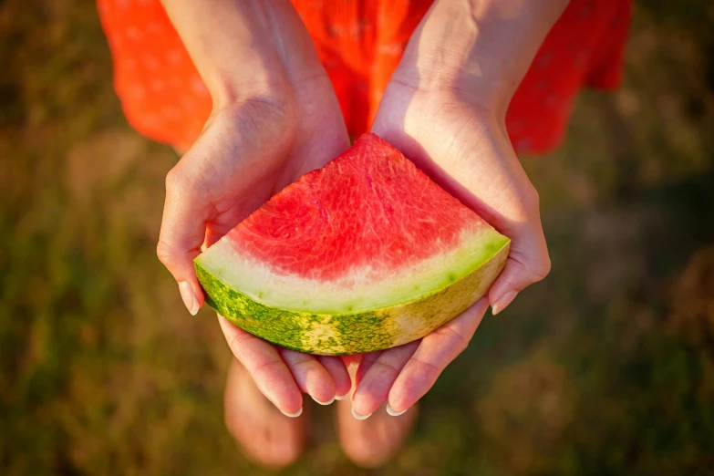 two hands holding a piece of watermelon on the grass