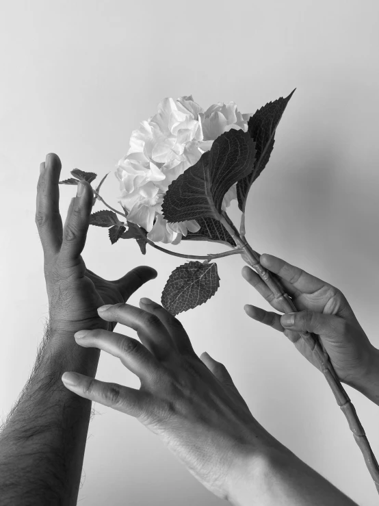 hands with flower arrangement touching each other's hand