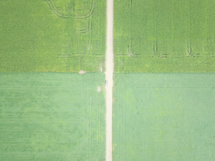 two fields that have a dirt road running through one