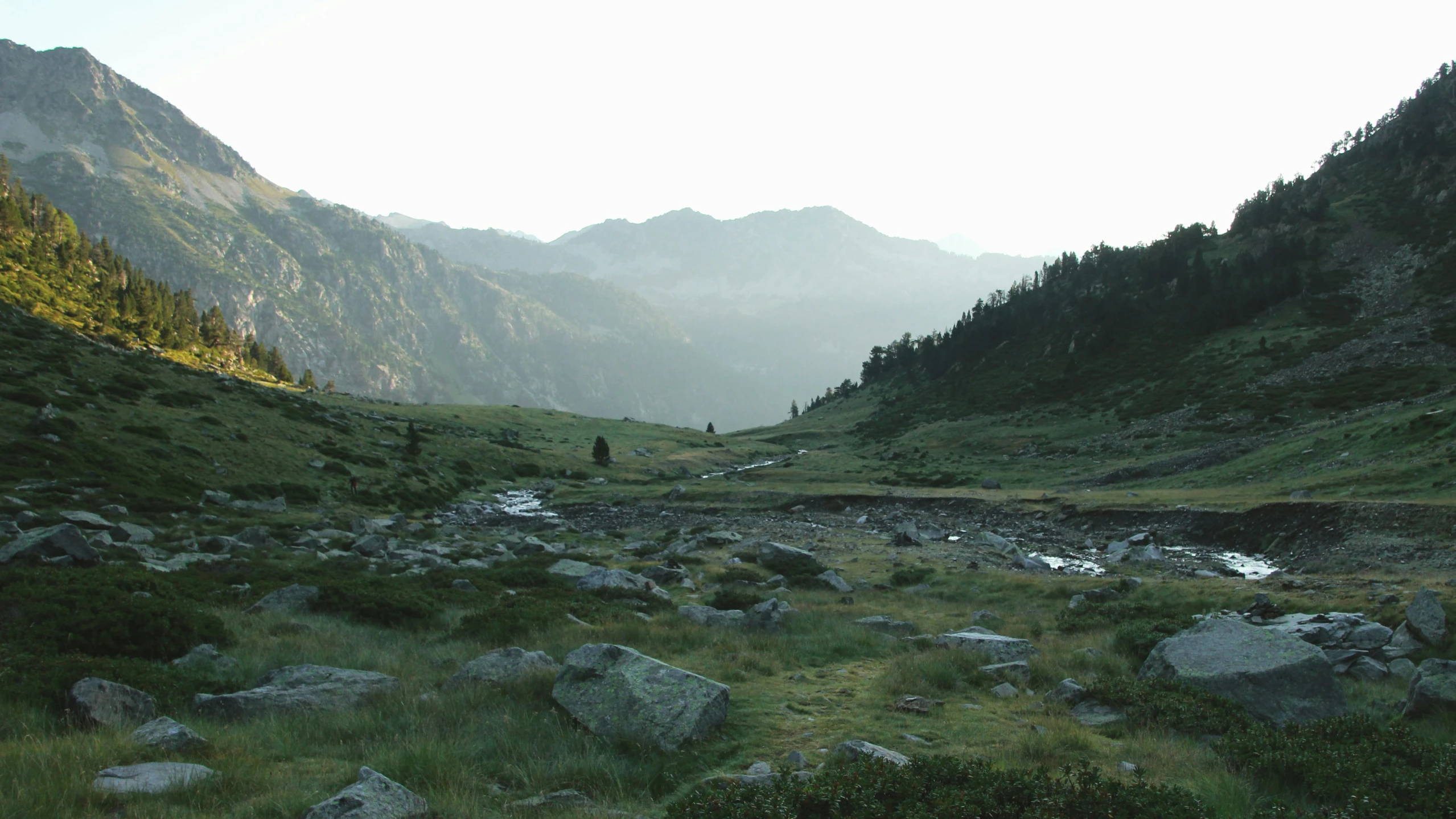 a scenic view of a field with some trees