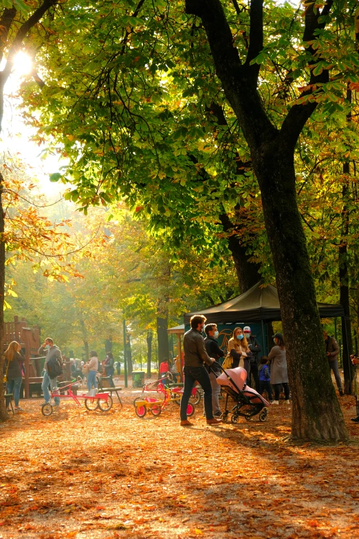 several people are walking through the woods and under a tree