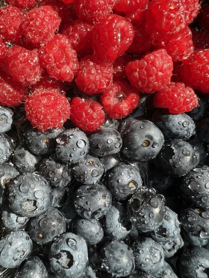 blueberries and raspberries are on display, while other fruits are arranged around them