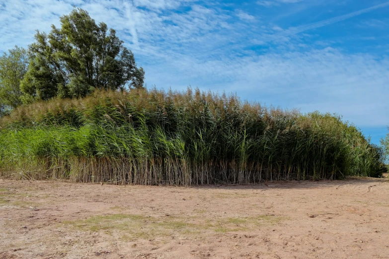 a bench sitting on top of a brown grass covered hillside