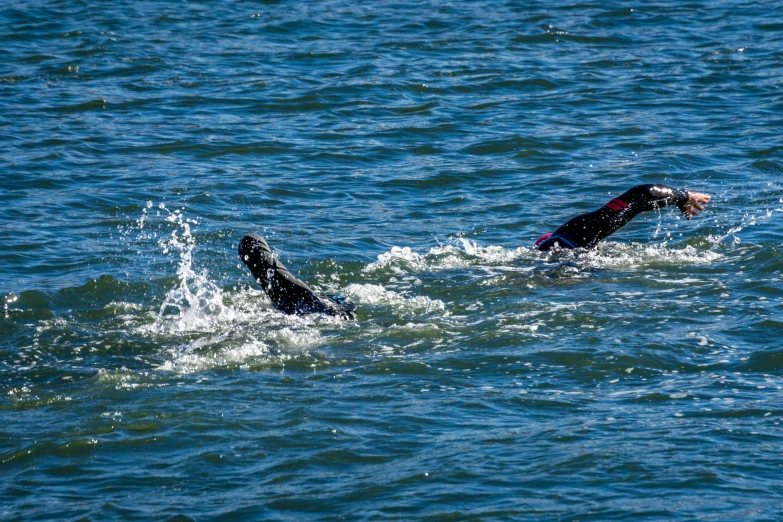 two people in black and pink swim in blue water