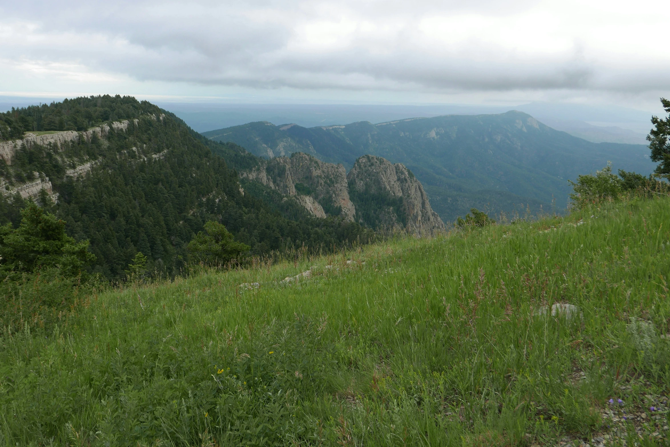 a grassy area in the mountains with many rocks on top