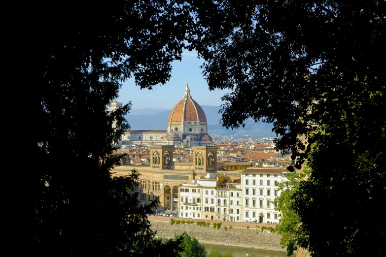 view of the dome of a building seen through a hole in the tree