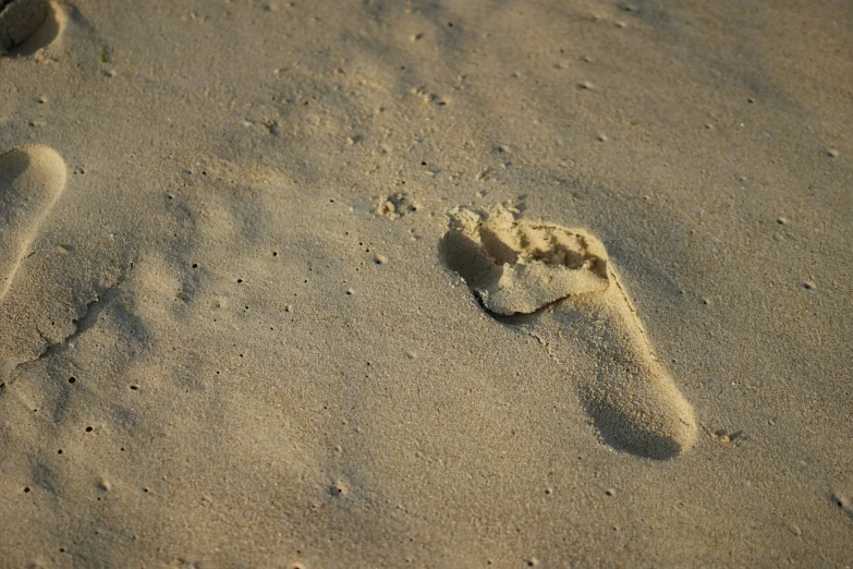 a foot print in the sand near a frisbee