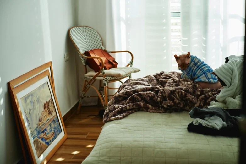 a cat that is laying on top of a bed