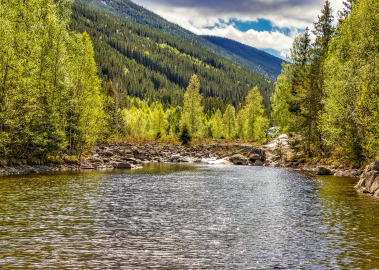 a mountain river flowing through a forest under a cloudy sky