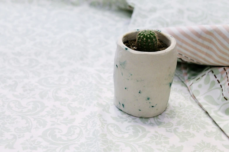 a small green cactus in a ceramic vase