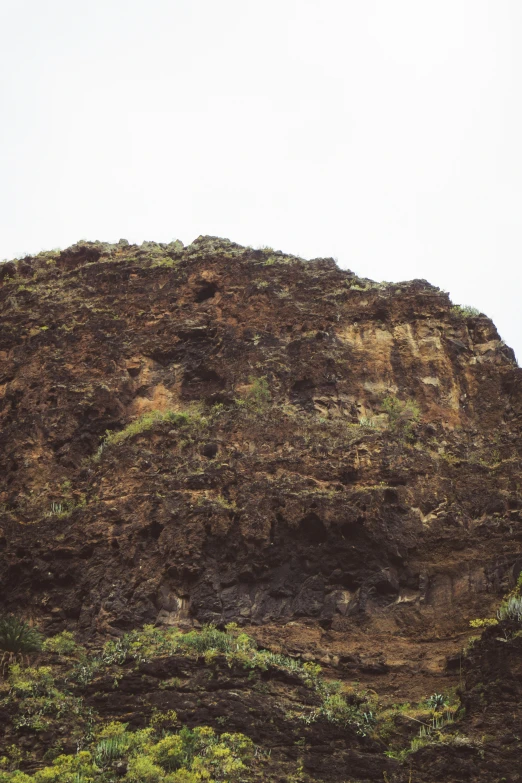 a giraffe is standing on top of a large hill