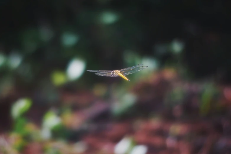 a small dragon flying in the sky near lots of green plants