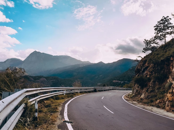 a mountain highway winding into the distance with trees and bushes