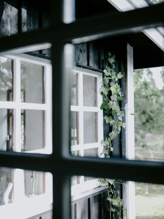 a window and a house in the background