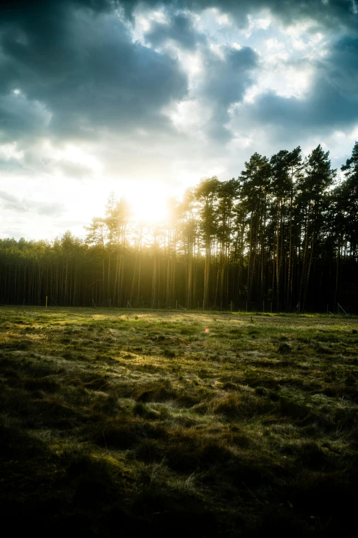 there is a large grass field with trees on the horizon