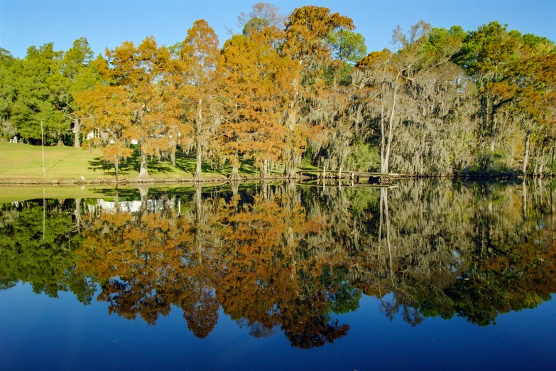 a lake with lots of trees on the shoreline