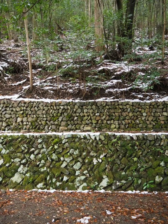 a stone wall in the middle of a forest