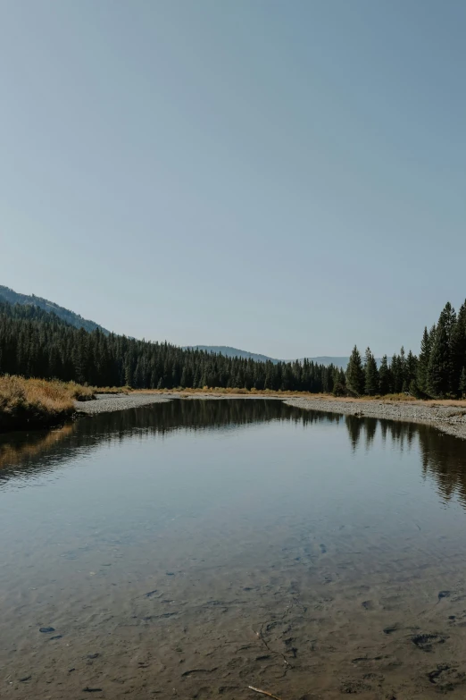 a clear and sunny day at a river in the mountains