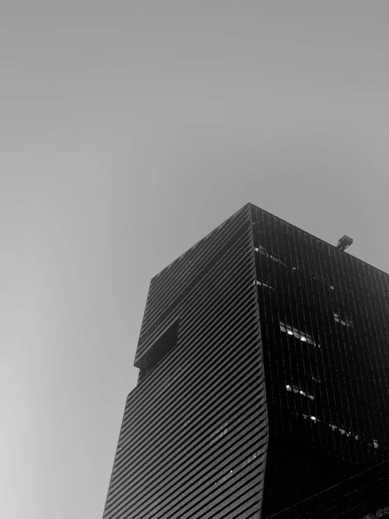 a building with several windows has some birds on top