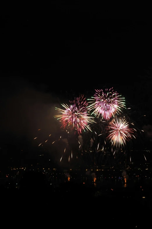 the large fireworks are lit up the night sky