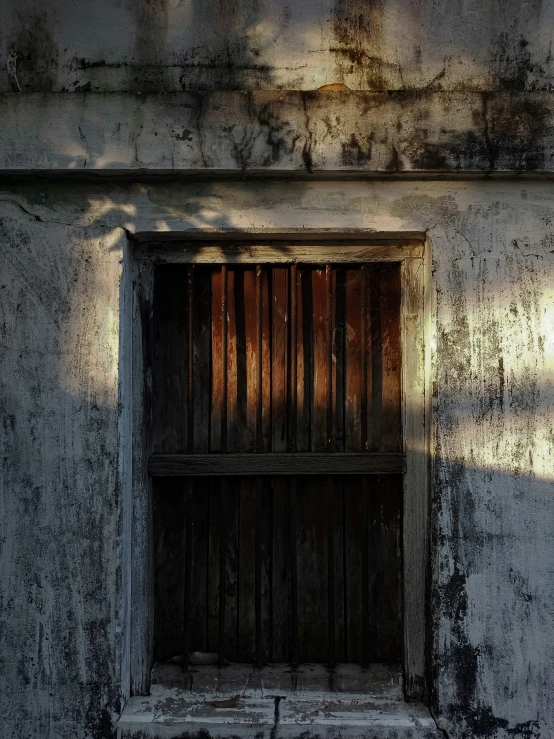 the shadow of a tree casting on a building